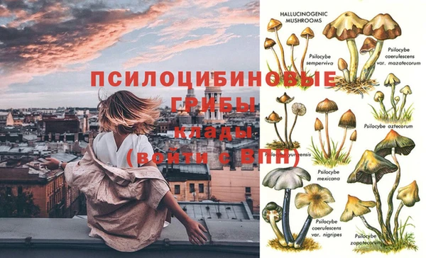 амфетамин Дмитриев