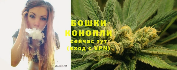 прущий лед Дмитровск