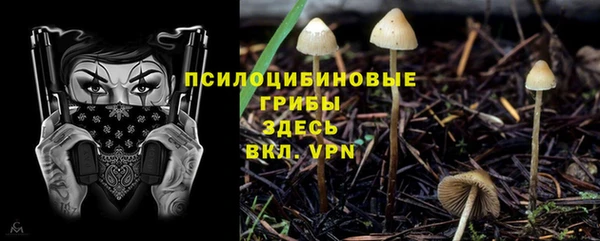 не бодяженный Дмитров